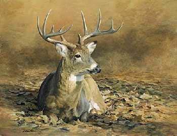 Robert Hautman October Sun – Whitetail Deer Open Edition on Paper