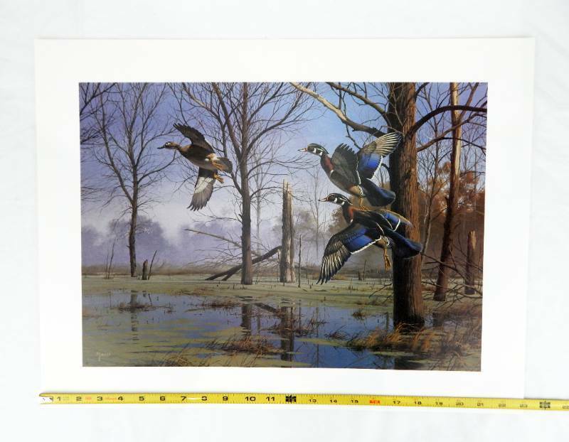 David Maass - Mirrored Solitude -Brown & Bigelow Print - 23 in x 17.5 in - Ducks gallery
