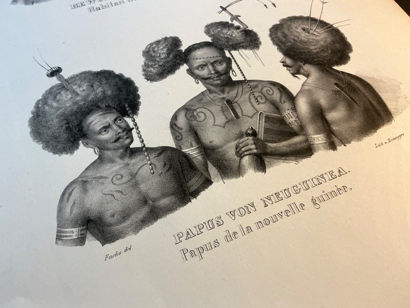 Antiquarian Lithographs - Papus von New Guinea - Lot of 2 - 1836 gallery