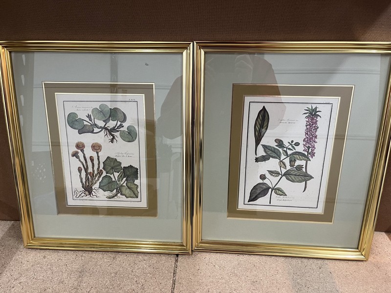 Vtg Soicher Marin Marshall Field Botanicals Floral Floral Framed Prints