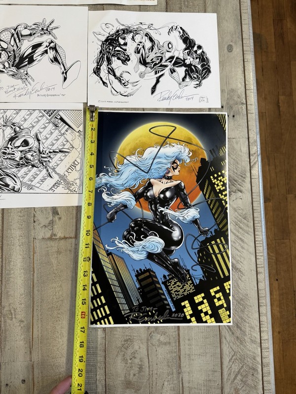 Randy Emberlin Signed Lot of 5 Spider-Man/Venom/Carnage/Black Cat Prints 11x17 gallery