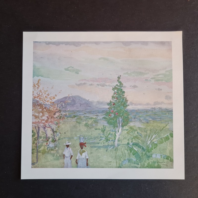 Antique 1905 print – Evening After Rain- Jamaica – Caribbean – West Indies