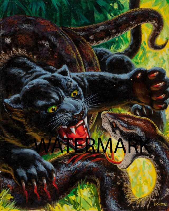 Black Panther vs Python Attack Tom Beecham 17"x22" Hunter REPRO Adv Mag Cover