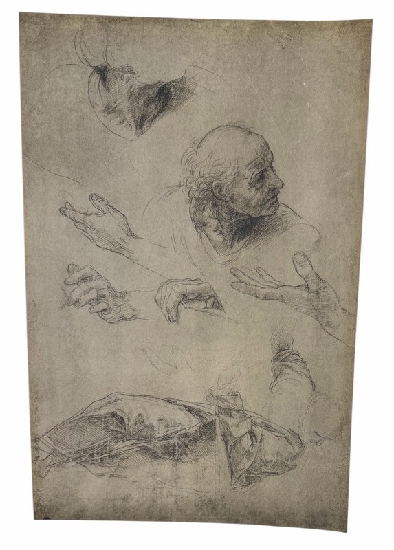 After Raphael Study for Disputa Print Figure Studies Hands Head Sketch
