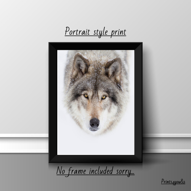 WOLF A4 PRINT PICTURE POSTER HOME DECOR WALL ART UNFRAMED GIFT NEW ANIMALS