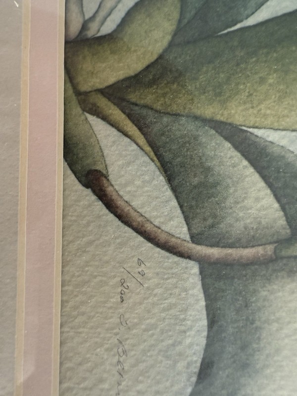 Unframed, Matted phalaenopsis Orchid, Print, Signed, And Numbered gallery