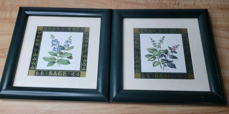 VTG Heartfelt Collection 2 Framed Botanical Prints 6 inch Square SEE PICS