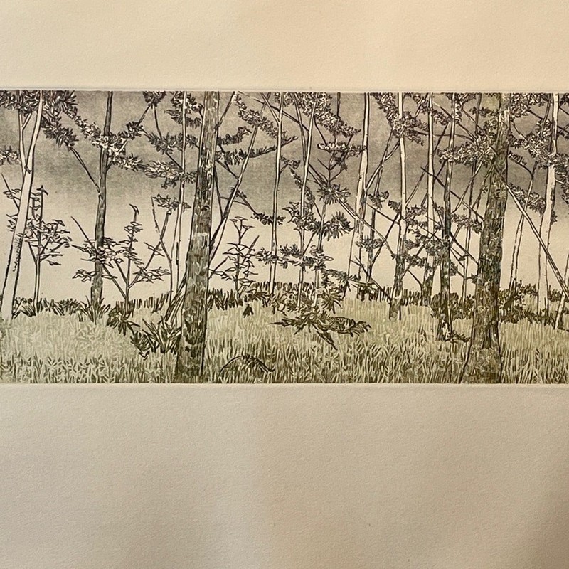 Ruth Leaf Signed Etching "Ballet for 26 Trees" 29x22 Ltd Ed 13/200 BFK Rives Art gallery