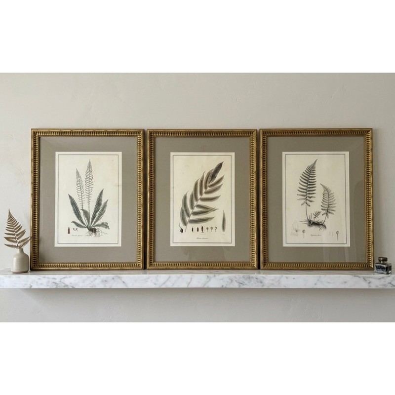 Set of 3 Large Botanical Fern Prints Gold Beaded Framed Wall Art Sage Mat 24x30