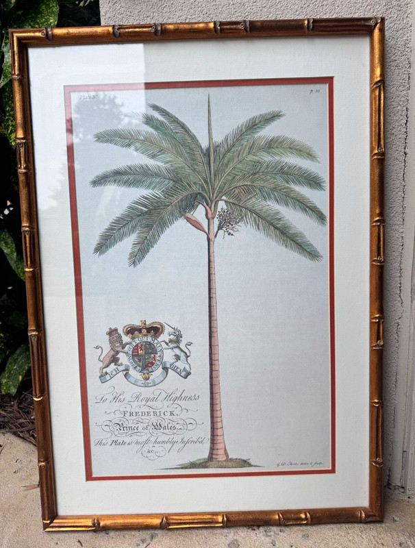 Set of 4 Bamboo Framed & Matted Botanical Prints by Georg Dionysius Ehret.
