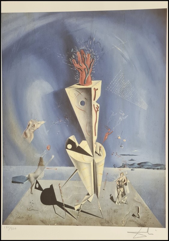 Salvador Dalí * Apparatus and.. * 50 x 35 cm * Signed Lithograph * Limited # 180/350