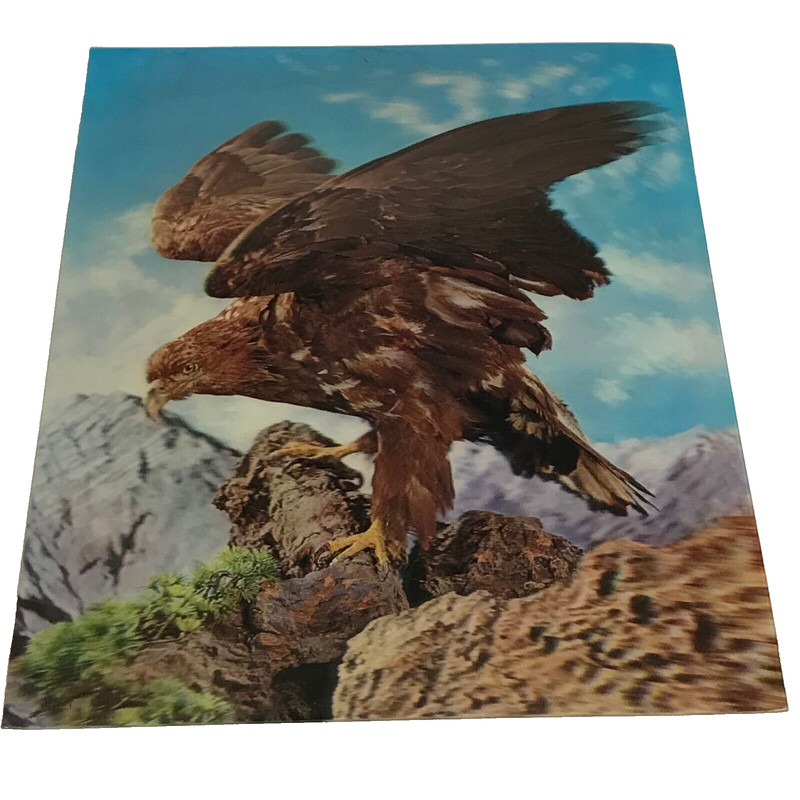 Vintage 3D Eagle Plastic Topan Print 26 cm x 33.5 cm Made in Japan gallery