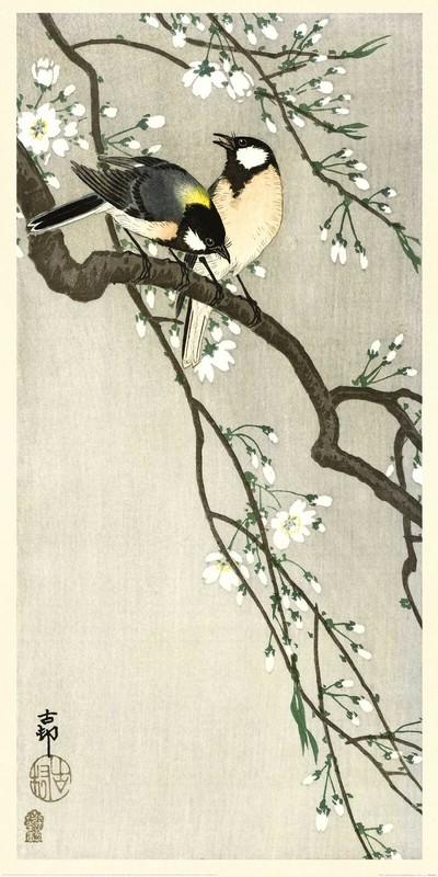 Ohara Koson – Birds on a Cherry Branch – Fine Art Print – 2 sizes available