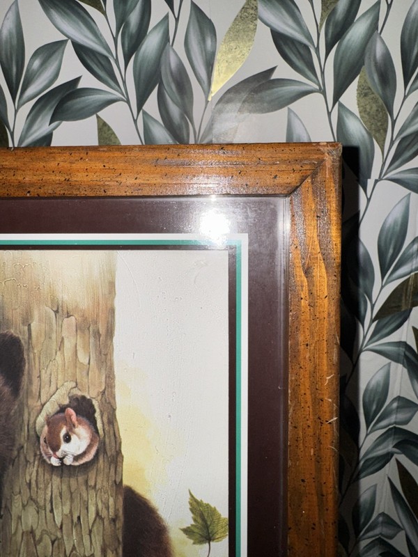 Vintage Shadow Box Framed Bear with squirrel Woodland Animal Art 12” x 15 1/4” gallery