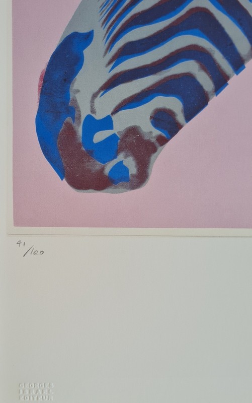 Andy Warhol * Zebra * 57 X 38 Cm * Signed Lithograph * Limited # 41/100 gallery
