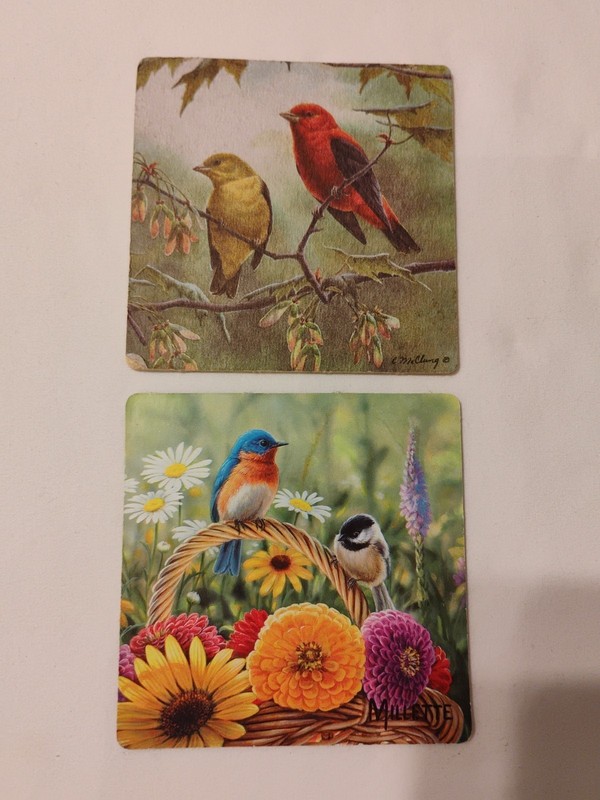 2 Small Bird Prints 3 1/2 In By 3 1/2 In Double Sided B8