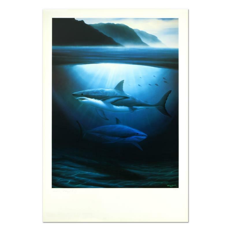 Wyland Great white sharks HAND SIGNED #’d Art Shark lithograph on paper, COA