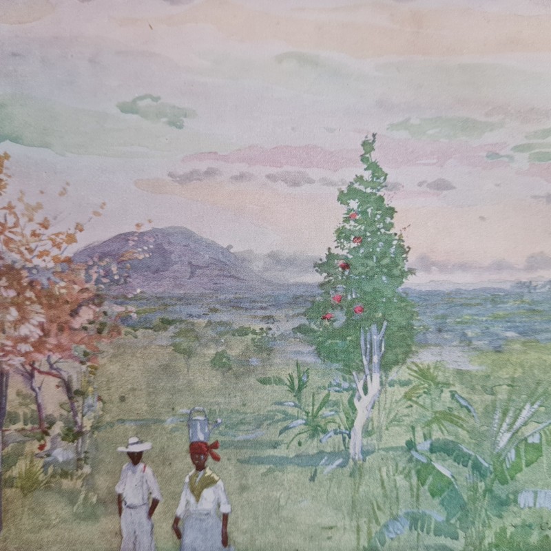 Antique 1905 print - Evening After Rain- Jamaica - Caribbean - West Indies gallery