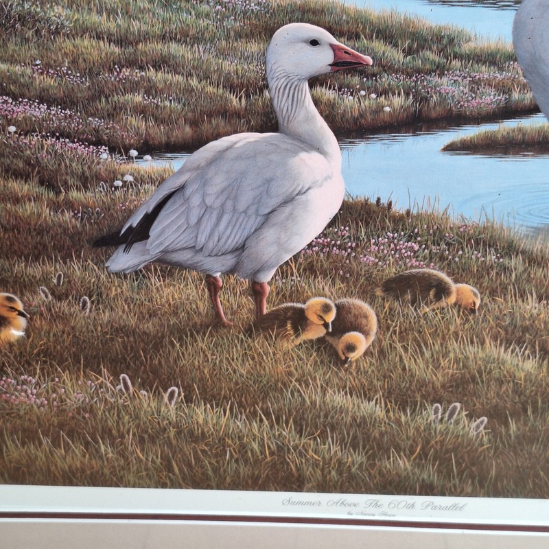 Ducks Unlimited Print Summer Above the 60th Parallel Signed Nancy Howe No Frame gallery