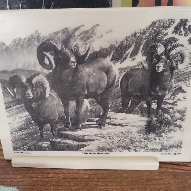 Cynthia Fisher Mountain Monarchs 1997 Bighorn Sheep Marble Print Unframed