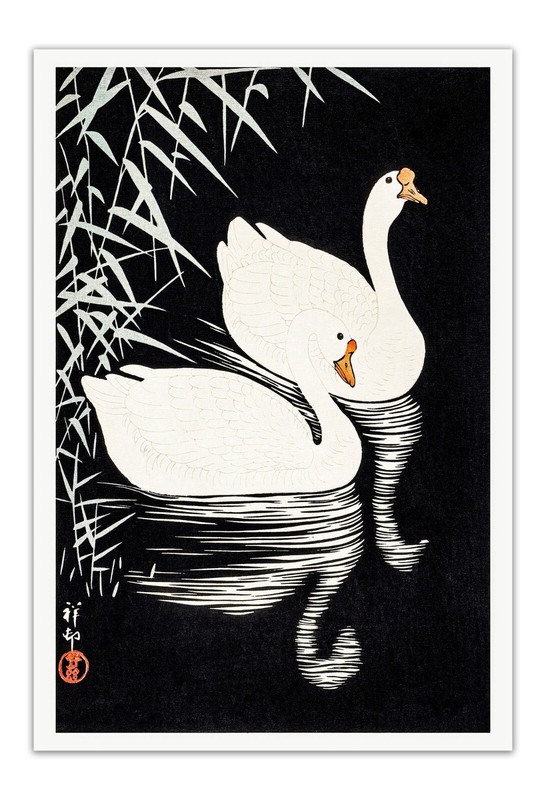 OHARA KOSON White Chinese Geese Swimming By Reeds ART (1928) Print/ Poster