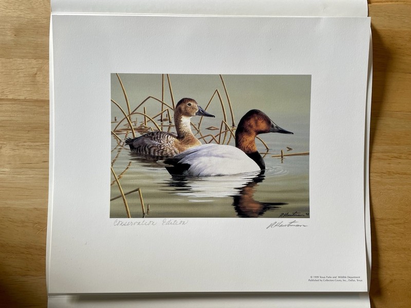 1999 Texas Waterfowl Stamp Print Conservation Edition Signed By Robert Hautman