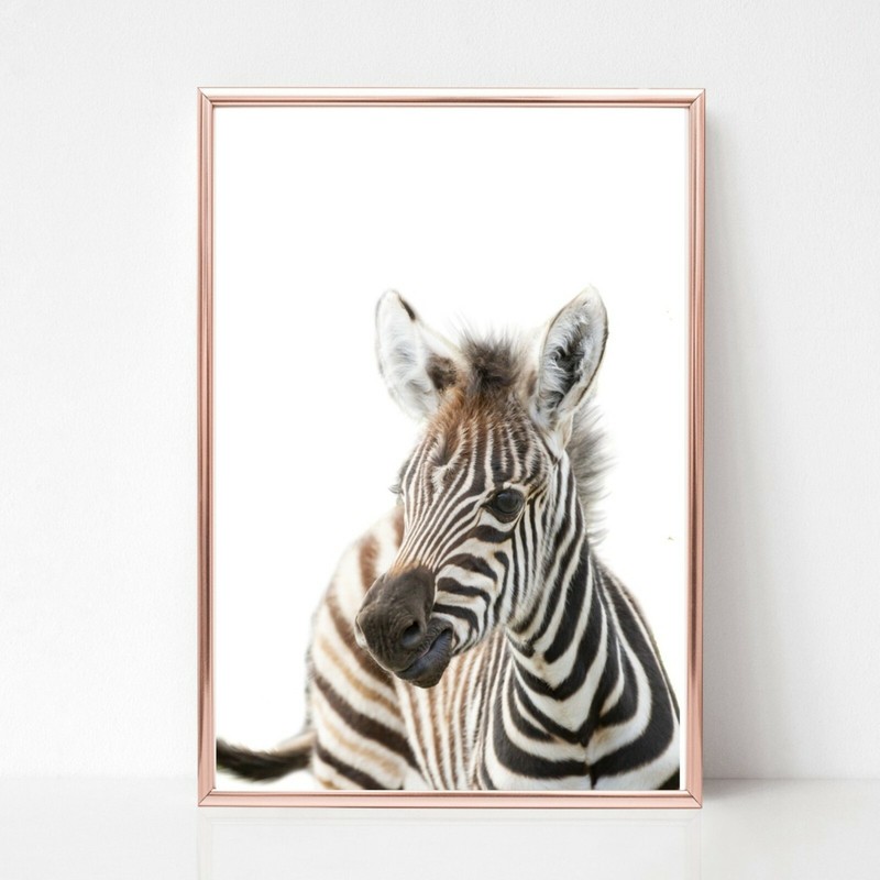 baby zebra Print picture UNFRAMED print nursery wall art a4 safari animal