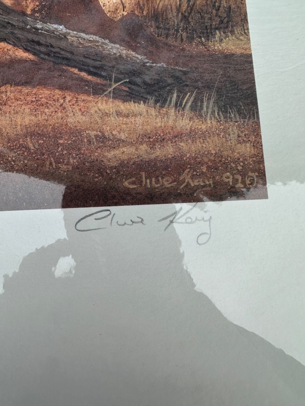 Rare 1993 Clive Kay Original Art Print Hand Signed And Number 287/395 gallery