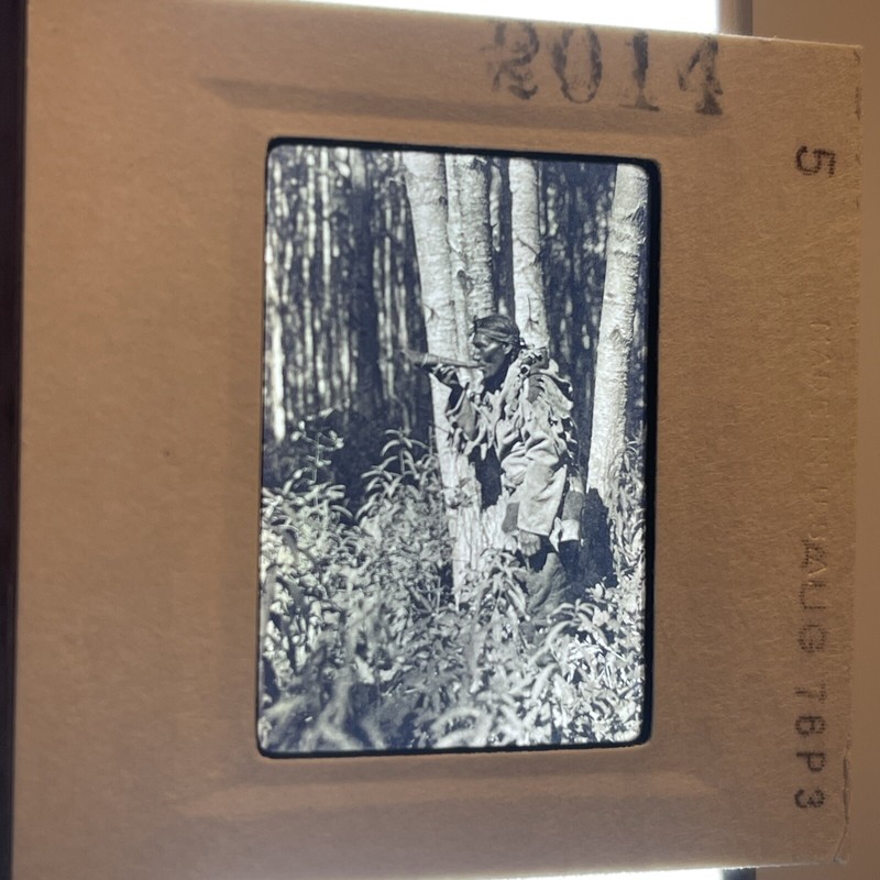 2014 Edward Curtis “Calling A Moose” Cree Native American 35mm Slide