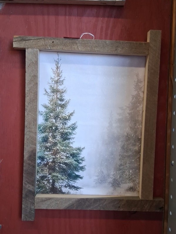 Framed Art Print Winter Pine Trees Landscape Nature
