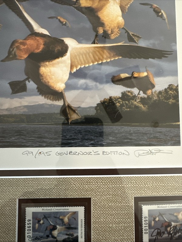 Robert Steiner 1997 Oregon Duck Stamp Print #99/195 Governor's Edition Signed gallery