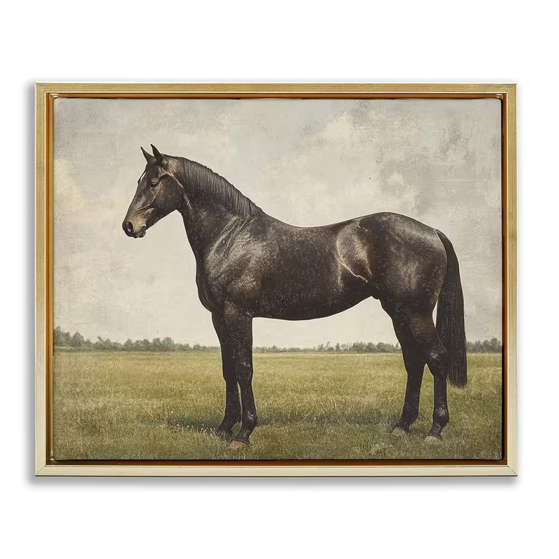 Espresso Horse Portrait by Petal Prints Design 1 Piece Gold Floater Frame Animal