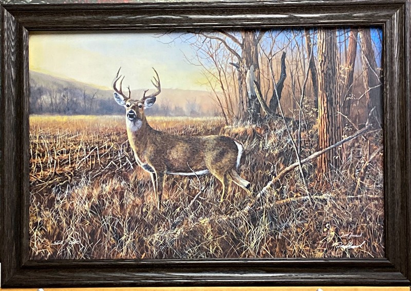 Jim Hansel Bluff Country Buck Deer Art Premium Framed Print 33 x 23