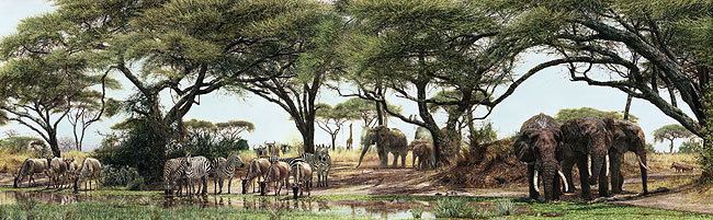 Simon Combes AFRICAN OASIS, ARTIST PROOF A/P#46/100 art print, HAND SIGNED RARE!