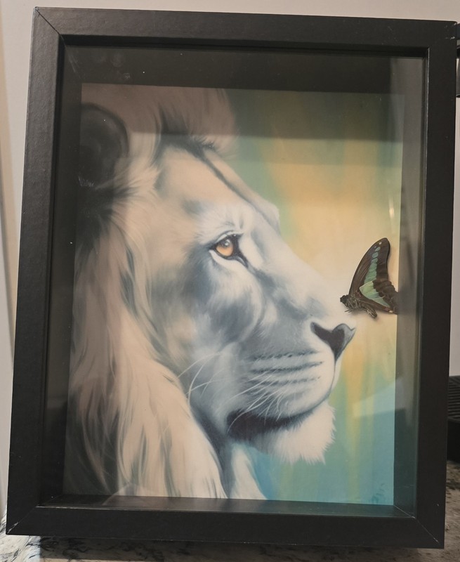 «Harmony» Framed Realism Lion and Preserved Butterfly Print Portrait Nature Art