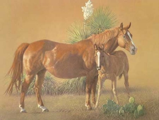Nature’s Blessing – Vintage Limited Edition Print by Wayne Baize Quarter Horses