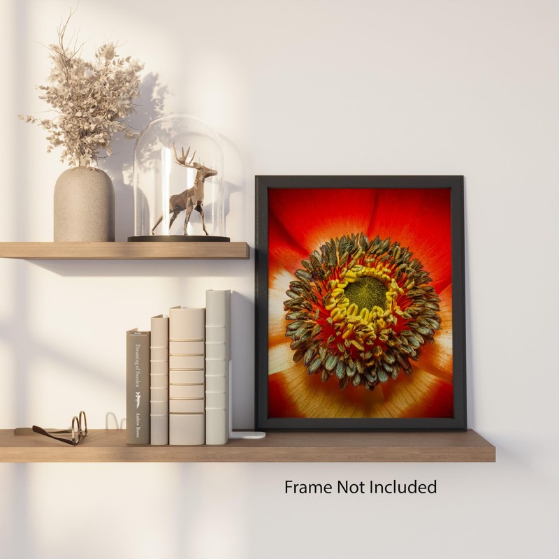 Botanical Fiery Bloom Center Macro Flower 8x10 Floral Print Wall Art Poster gallery