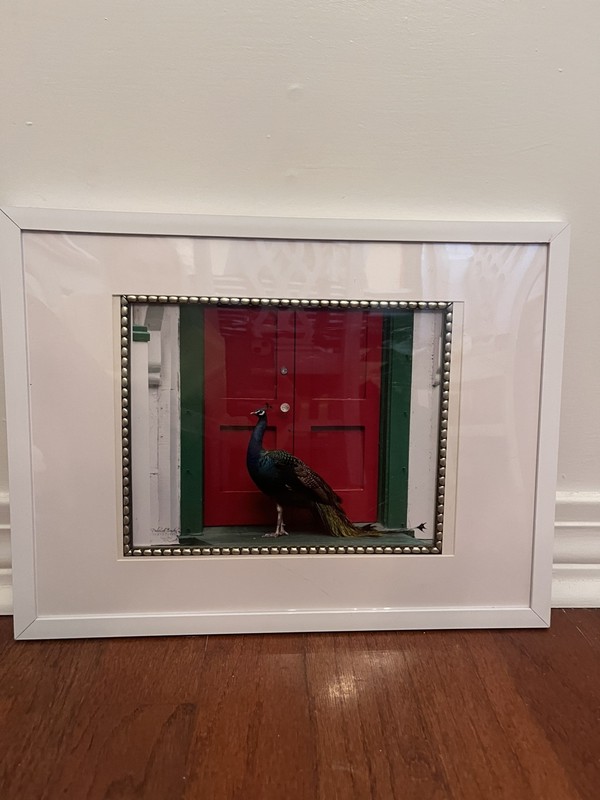 FRAMED PHOTO ART CUSTOM PEACOCK RED DOOR MATTED WHITE 17×13 Modern