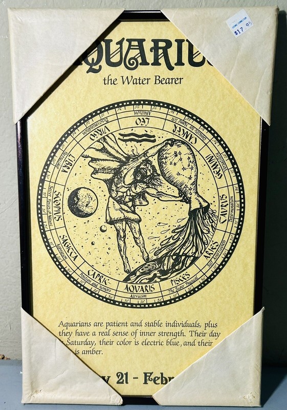 1970s Aquarius The Water Bearer Zodiac Astrology Bronze Framed Wall Art 16×10
