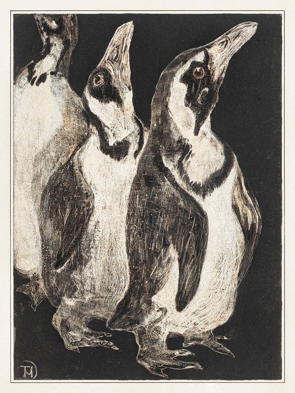 The Penguins by Theo van Hoytema Art Print