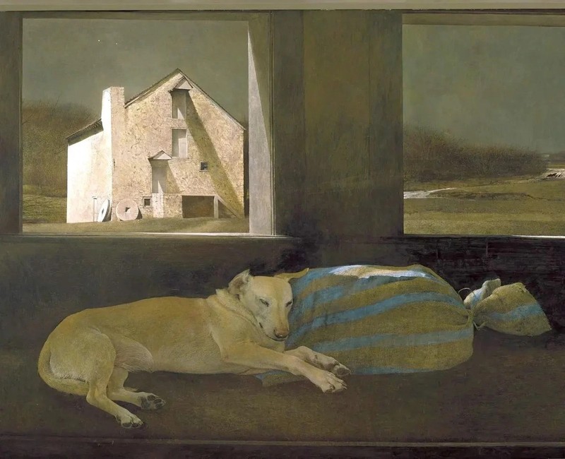 Night Sleeper Andrew Wyeth VINTAGE art poster print antique painting