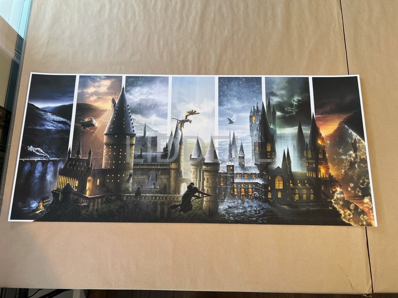 Mondo Style Harman Journey Through Hogwarts Harry Potter Art Print #d/100 BNG