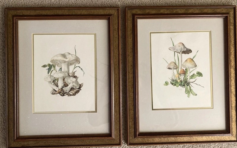 VTG 60’s Cottagecore Framed Mushroom Botanical Artwork Gold Accent Set of 2