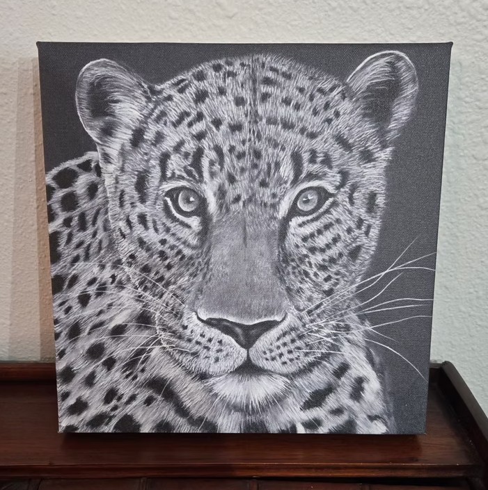 Leopard’s Gaze Charcoal Drawing Art Print on 12″ x 12″ Stretched Canvas
