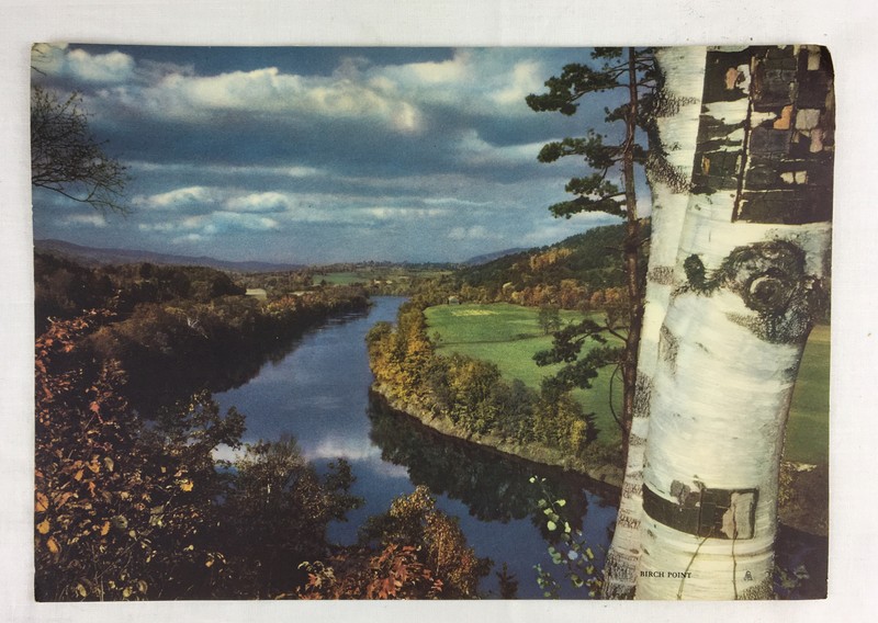 Vtg 40/50’s Calendar Print Real Photo River Hills Birch Tree Sky USA 7.5 x 10.5