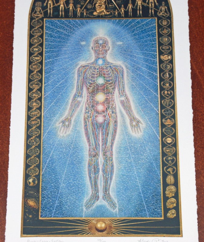 Alex Grey Psychic Energy System Art Print S/# 100 Sacred Mirrors Chakras Poster