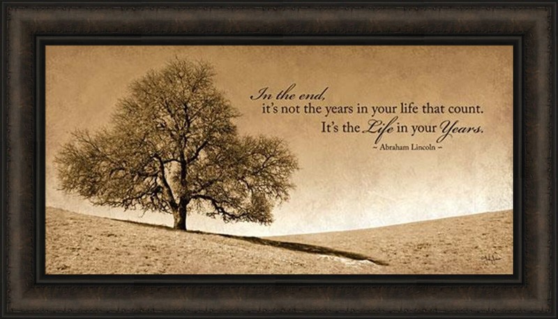 LIFE IN YOUR YEARS by John Jones Abraham Lincoln Quote 16×28 FRAMED ART PICTURE