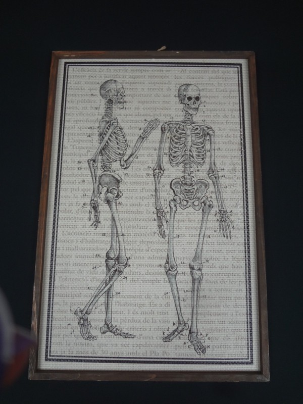 Vintage Style Anatomy Skeleton Art Print Framed Wall Decor 16×24 (PULL C PICS)