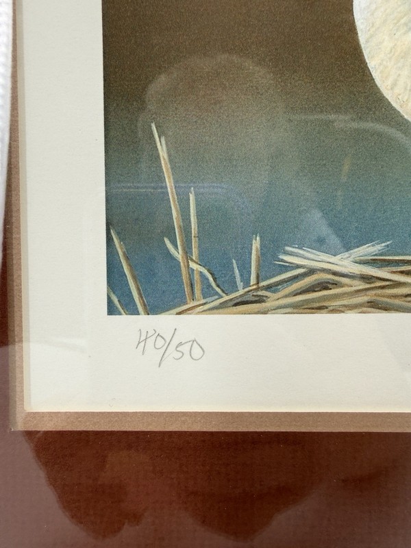 Snow Goose 2013 Print & Stamp set by Rekekah Knight #40/50ce Ducks Unlimited COA gallery