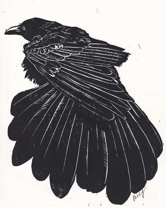 Grackle Bird Linocut Print 8x10in Original Artwork White Speedball Print Paper